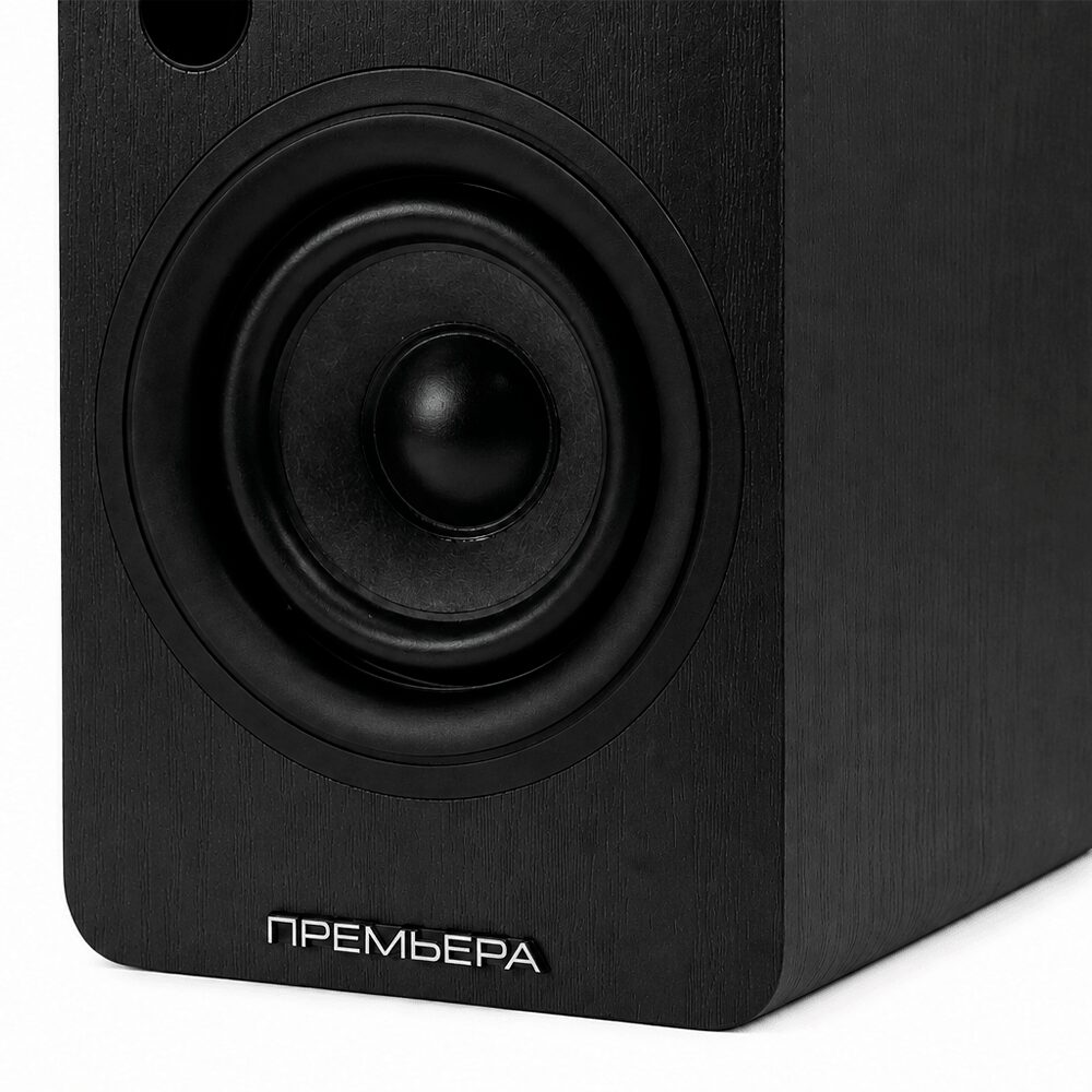 Активная акустика PREMIERA RS-301A