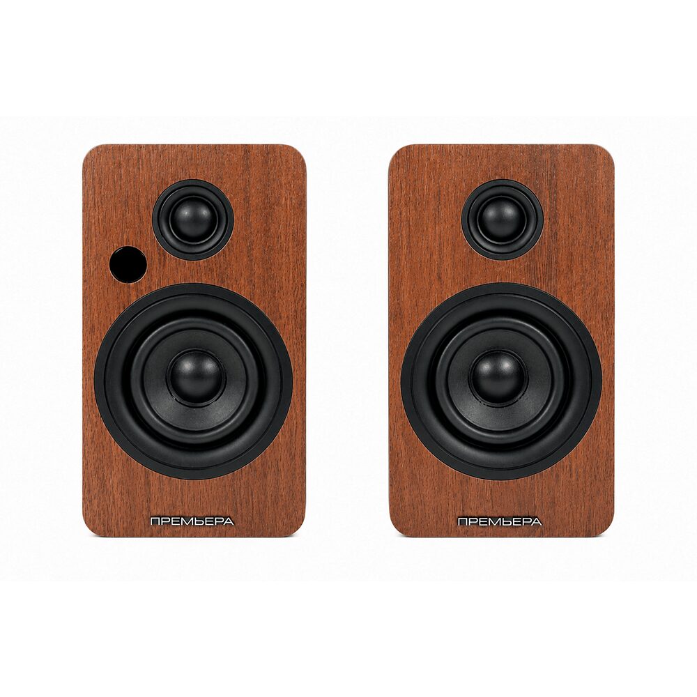 Активная акустика PREMIERA RS-301A
